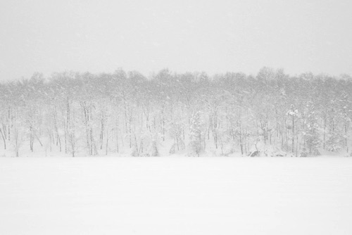 Frozen Pond in Snow, Blizzard of 2010 Sparta Mountains New Jersey Highlands (83SA).jpg